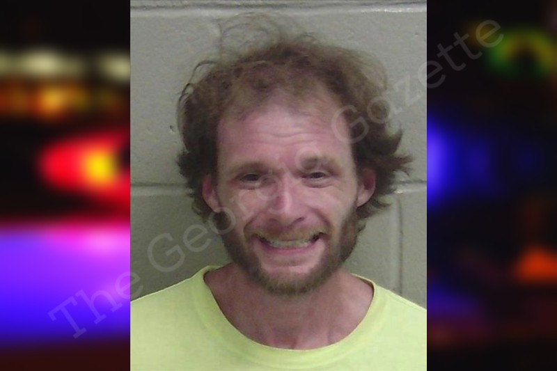 Glenn Lee Wayne County Jail Bookings