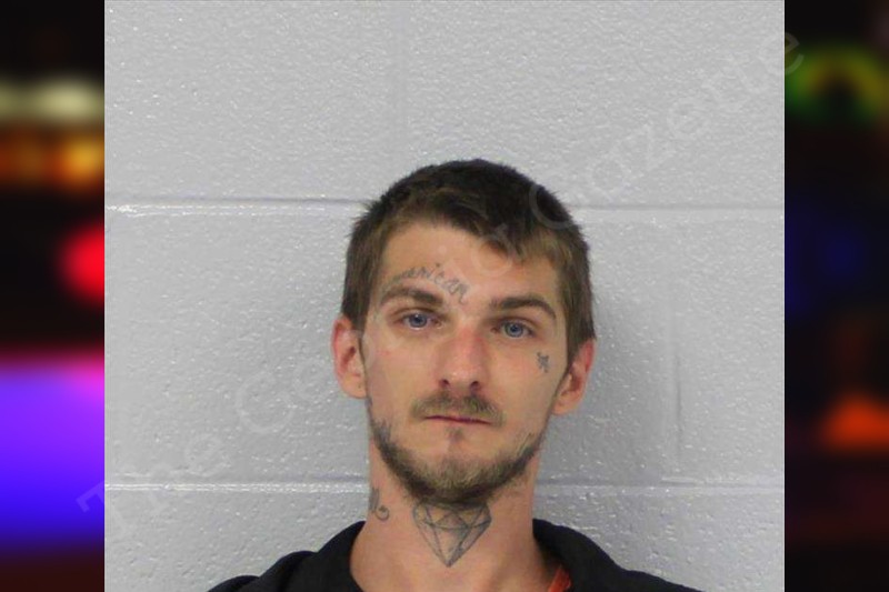 Bradley Newell - Carroll County Jail Bookings