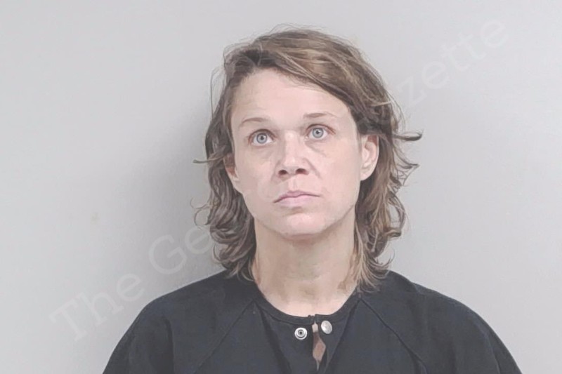 Crystal Owens | Lowndes County Jail Bookings