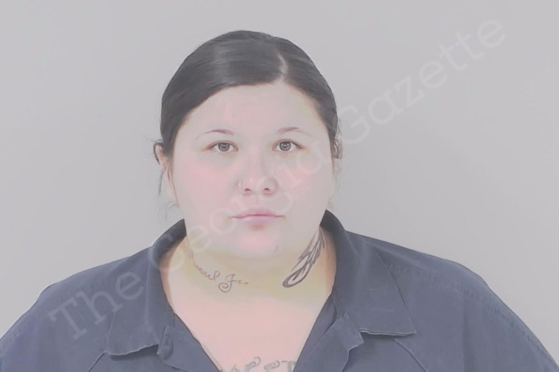 Santana Porter Lowndes County Jail Bookings