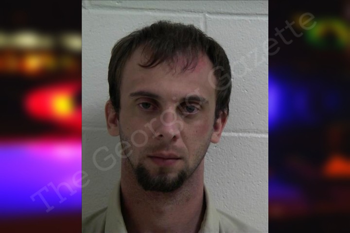 Bradley Powell - Decatur County Jail Bookings