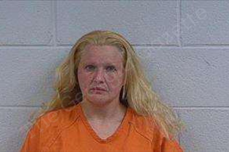 Brandy Pope Polk County