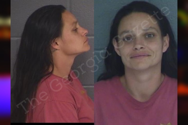 Brandy Powell Barrow County Jail Bookings