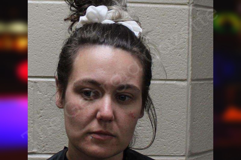 Tiffany Rice Haralson County Jail Bookings