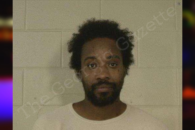 Prince Seabrook Liberty County Jail Bookings