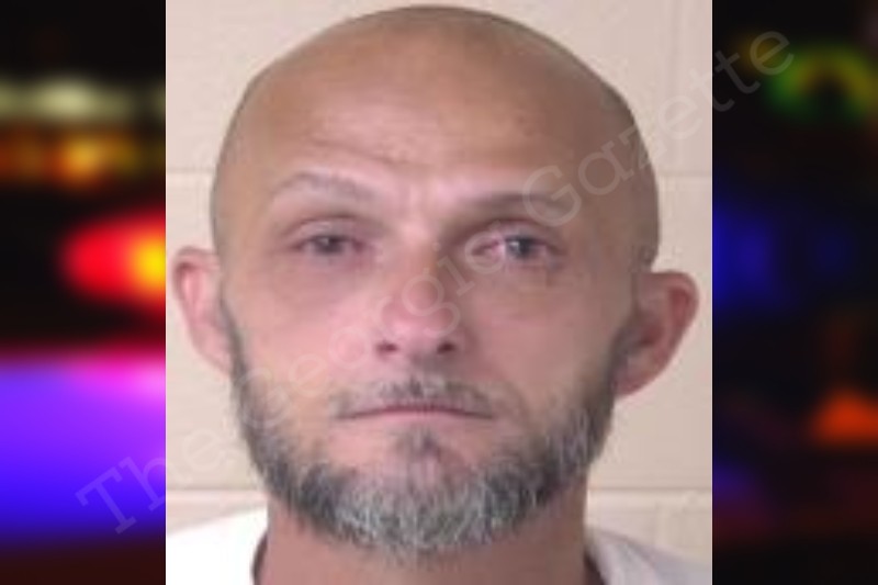 Shannon Shadrick Walker County Jail Bookings