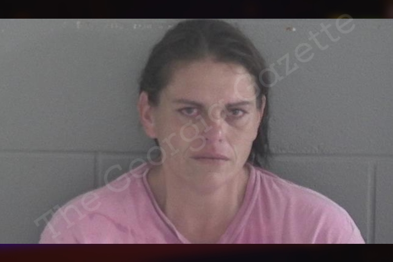 Letitia Shiland Brantley County Jail Bookings