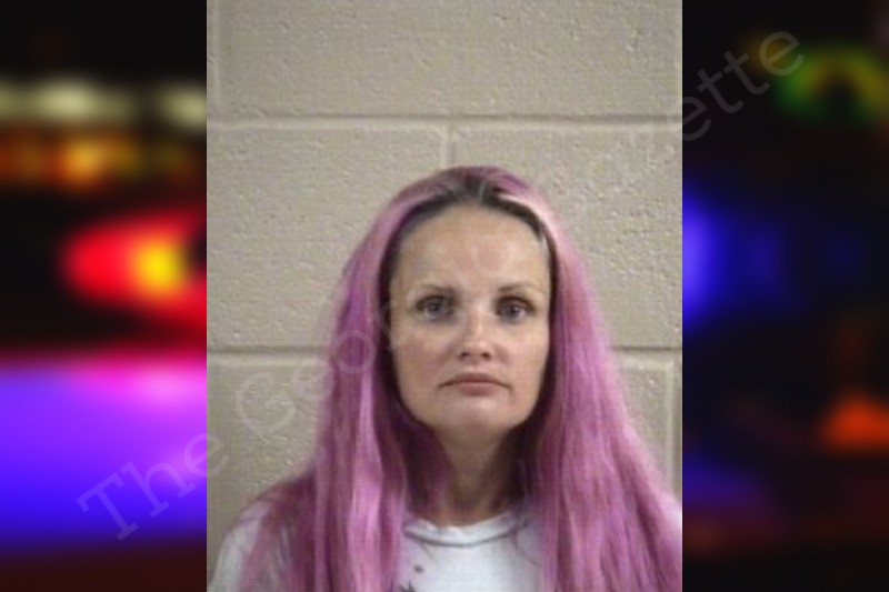 Brandy Taylor Whitfield County Jail Bookings