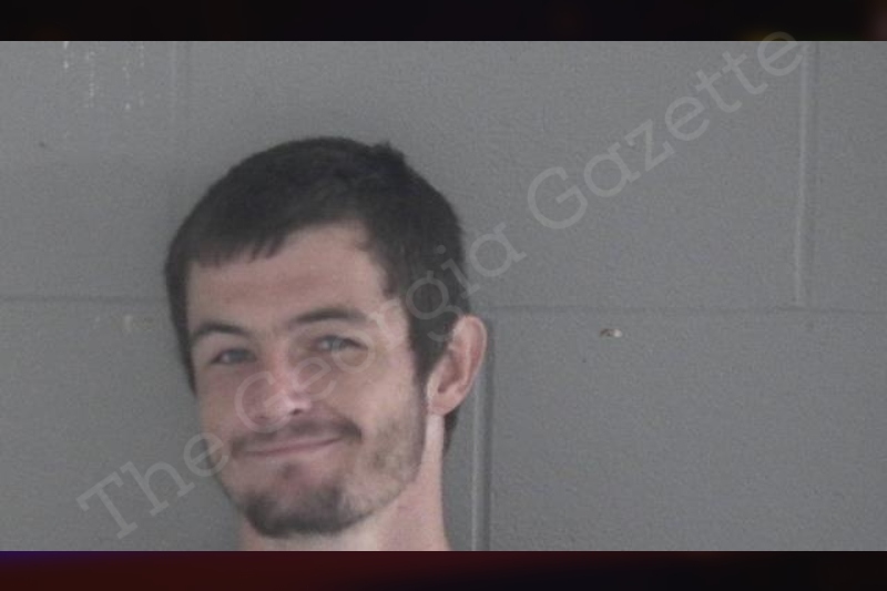 Justin Thornton | Brantley County Jail Bookings