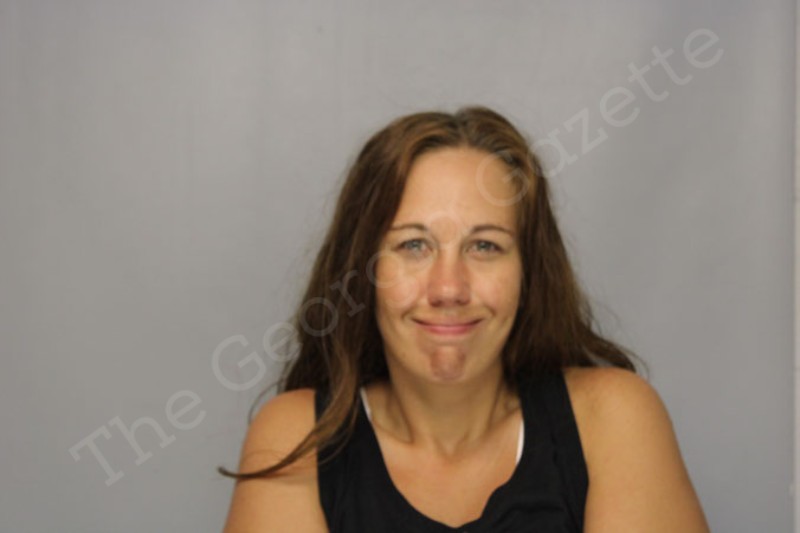 Lauren Brewer Hall County Jail Bookings