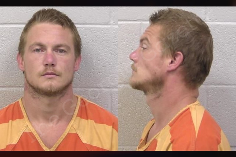 Michael Paulding County Jail Bookings