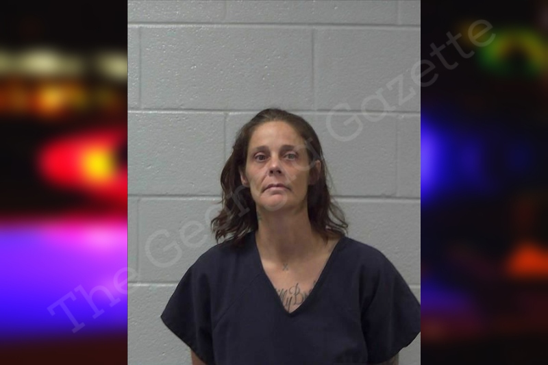 Lisa Callahan Gilmer County Jail Bookings