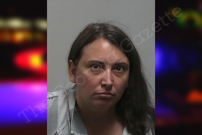 Stephenie Conn Tift County Jail Bookings