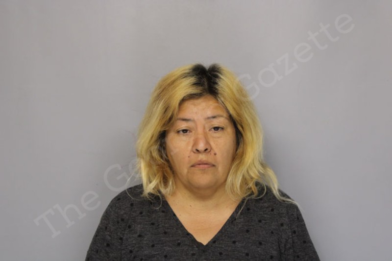 Dulce Diaz | Hall County Jail Bookings