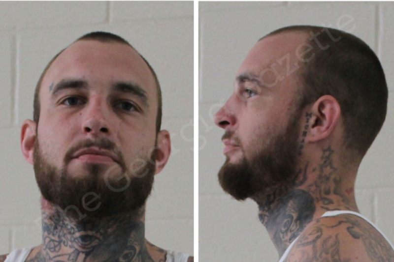 Blake Duckworth — Houston County Jail Bookings