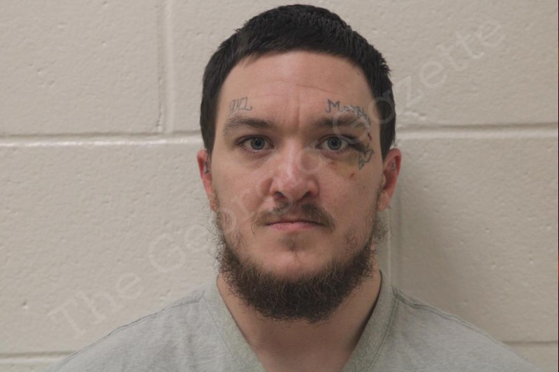 Dakota Harper The Gazette