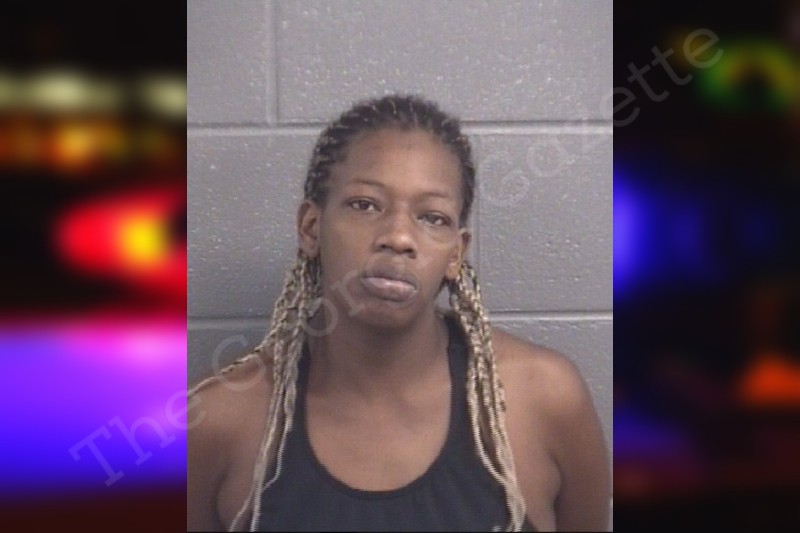 Shantylenea Howard Spalding County Jail Bookings 1831