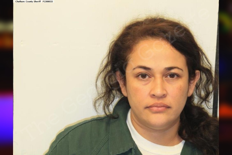 Alma Iscoa Villeda Chatham County Jail Bookings