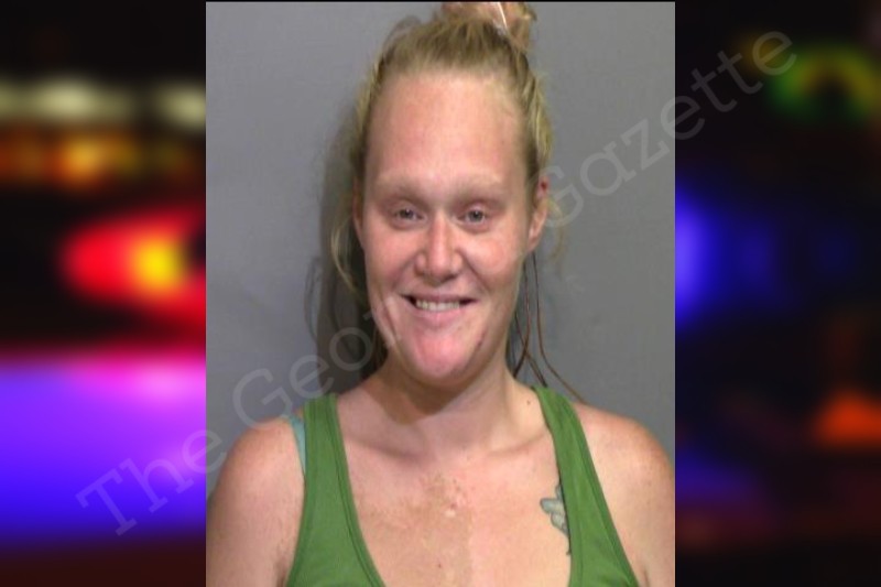 Marissa James Glynn County Jail Bookings