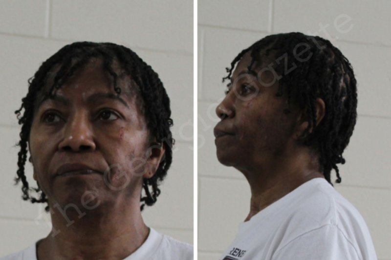 Velma Johnson Houston County Jail Bookings