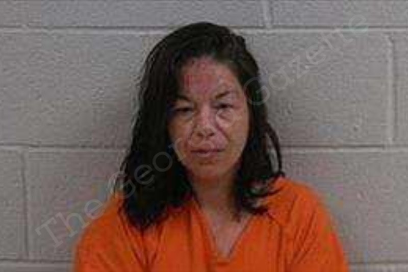 Cindy Lackey Polk County Jail Bookings