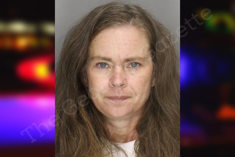 Krystal Posey Cobb County Jail Bookings