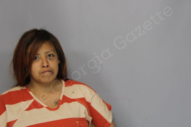 Ana Ramirez - Hall County Jail Bookings