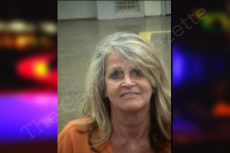 Barbara Summerville Heard County Jail Bookings