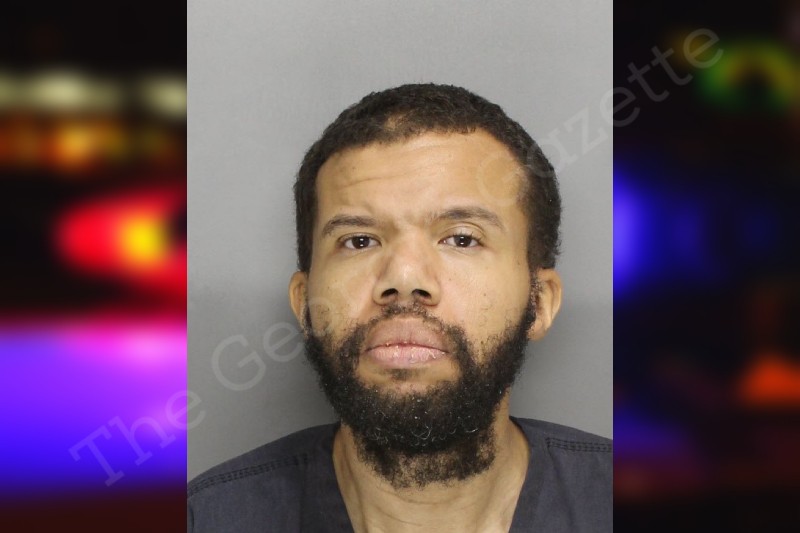 Michael Ballard — Cobb County Jail Bookings