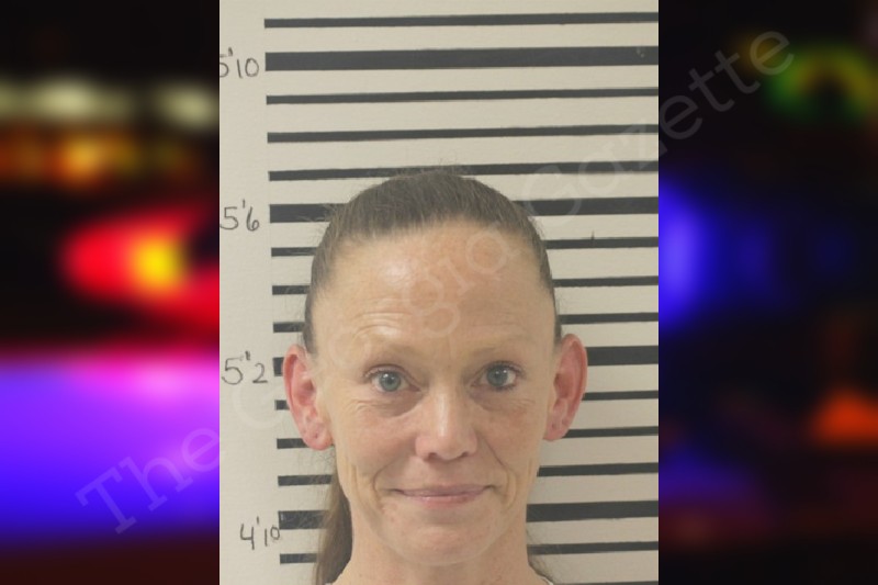 Ryan Belch Toombs County Jail Bookings