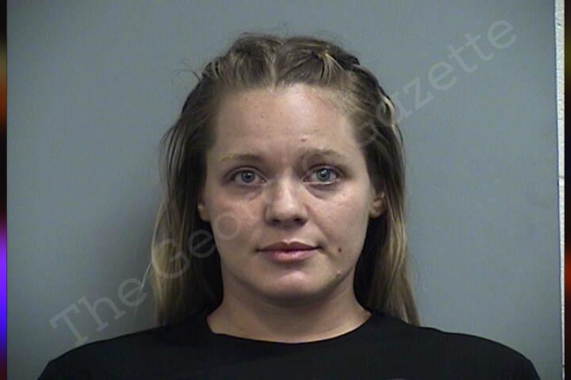 Tamara Briggs Effingham County Jail Bookings
