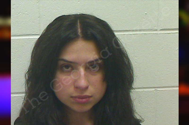 Lesley Camacho Bulloch County