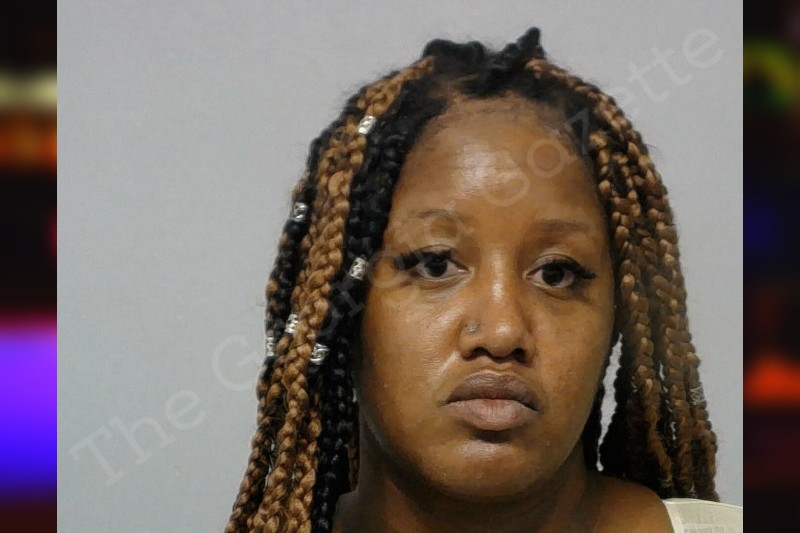 Delicia Hudson — Bibb County Jail Bookings