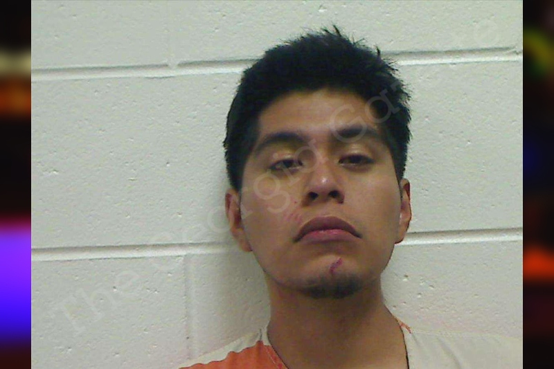 Juan Esteban — Bulloch County Jail Bookings