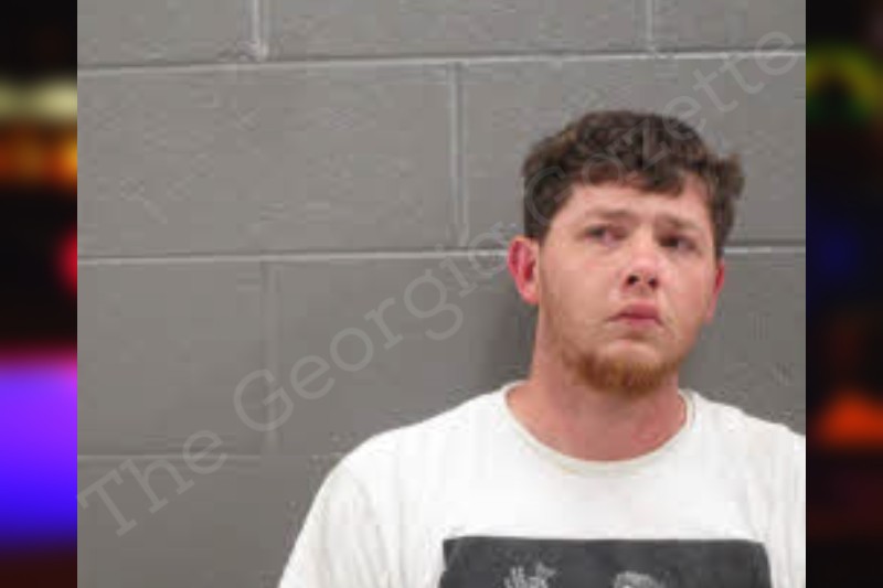 Justin Sailors — Banks County Jail Bookings