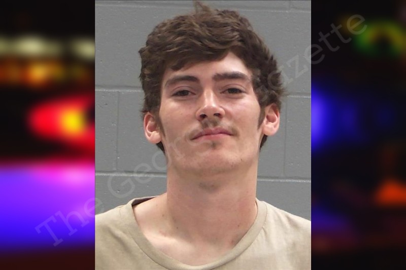 Ethan Hayes Baldwin County Jail Bookings