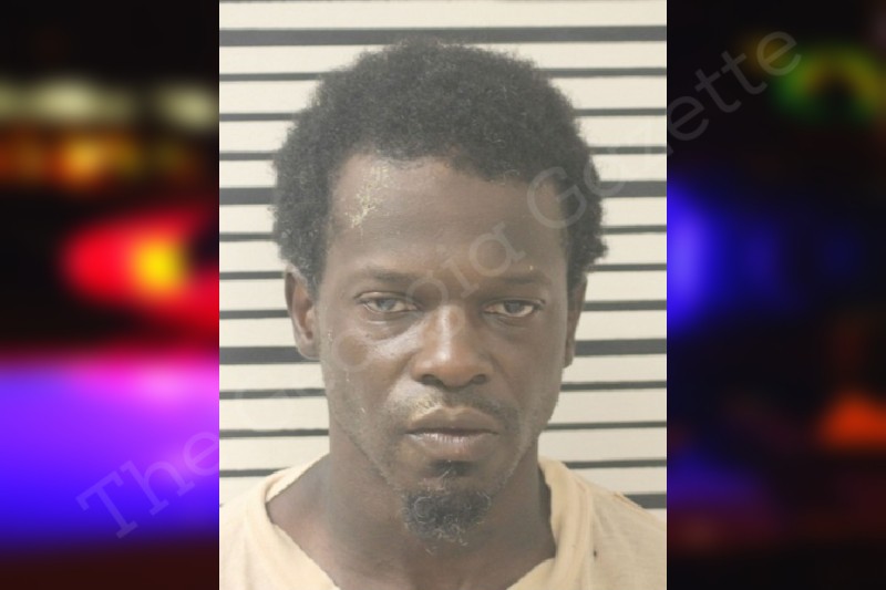 Loquacious Jackson Toombs County Jail Bookings