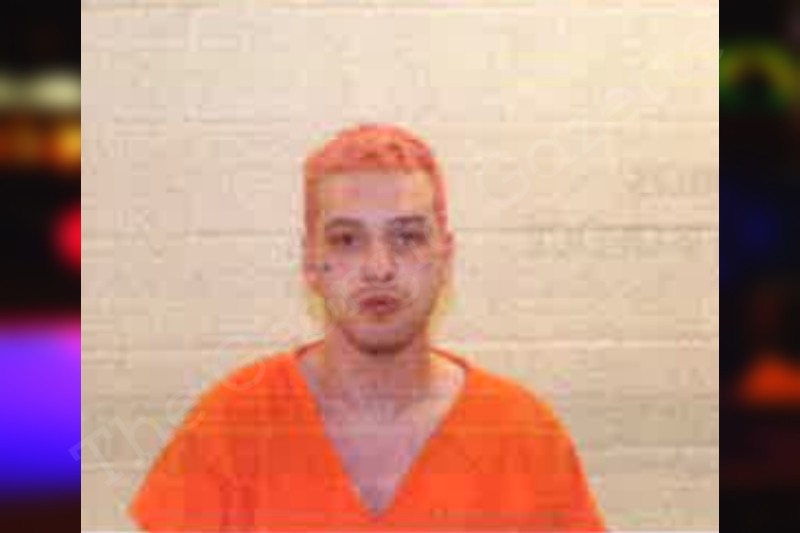 Nathaniel Jacobs — Pickens County Jail Bookings