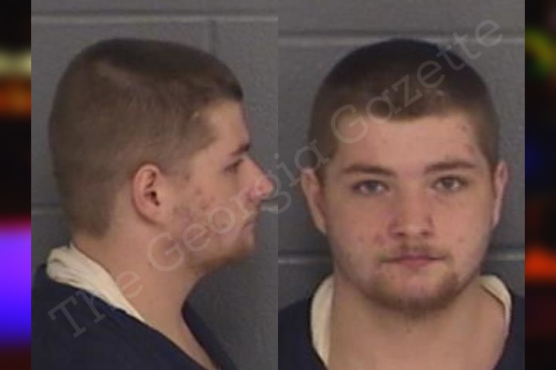 Jordan Johnson Barrow County Jail Bookings