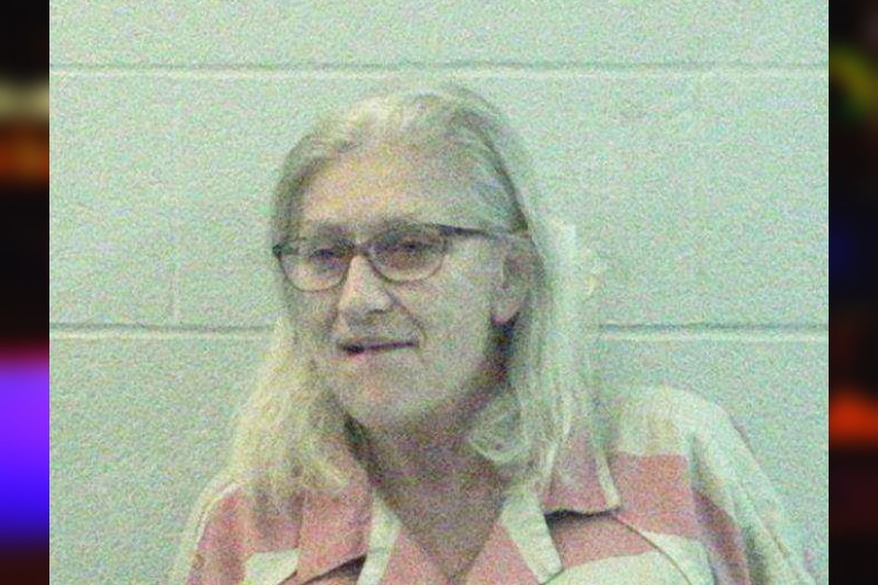 susan-long-stephens-county