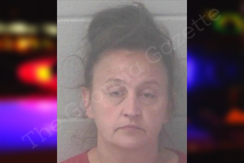 Sonja Lundy Newton County Jail Bookings