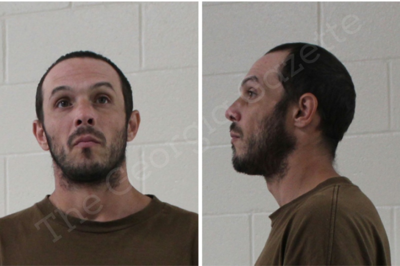 Timothy Nelson Houston County Jail Bookings