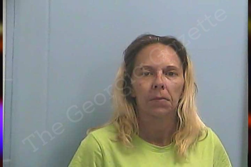 Brittany Perez Dawson County Jail Bookings