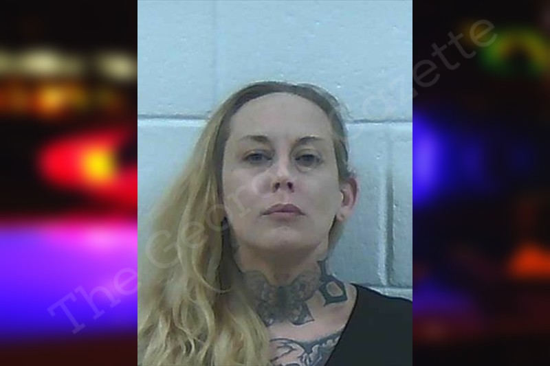 Laura Sheffield Jackson County Jail Bookings