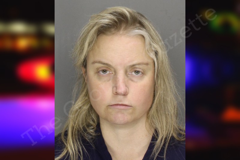 Robyn Strachan — Cobb County Jail Bookings