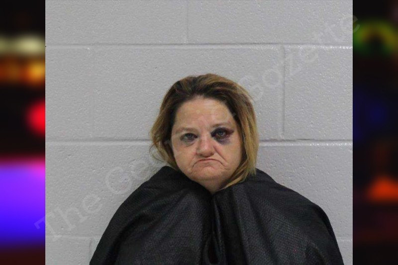 May Summerville Carroll County Jail Bookings