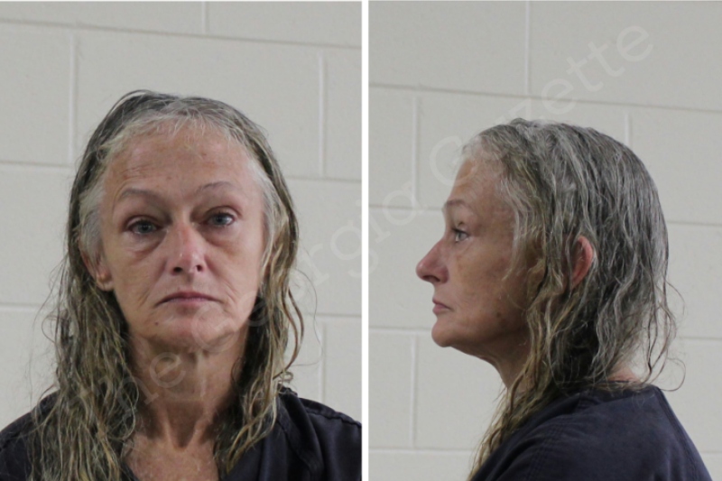 Marie Slocum — Houston County Jail Bookings