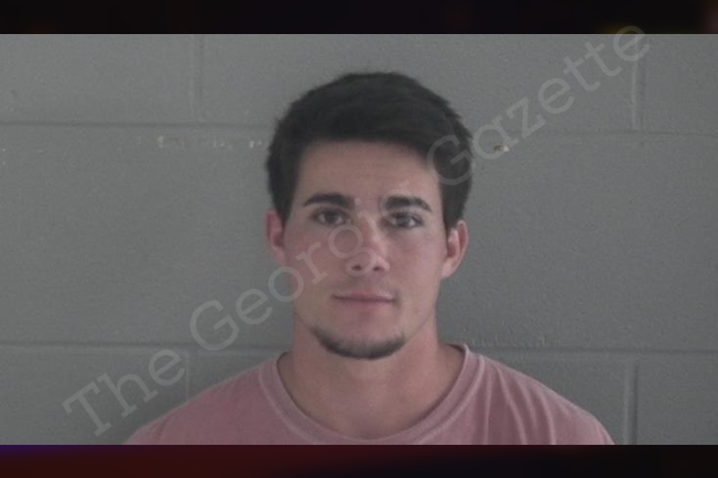 Michael Sumner | Brantley County Jail Bookings