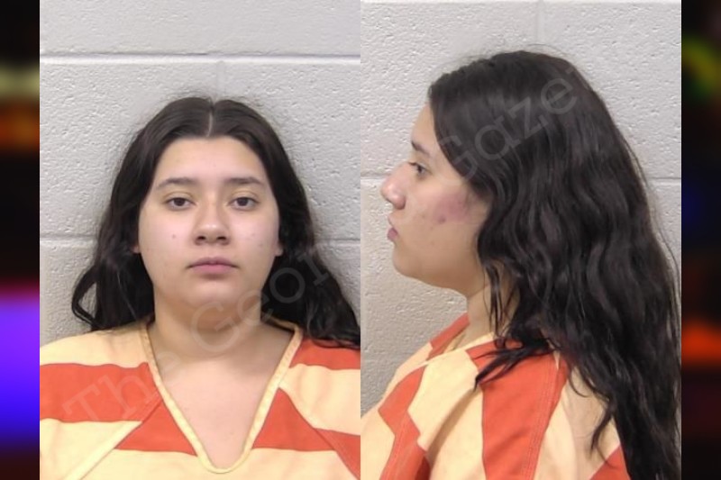 Samantha Vasquez | Paulding County Jail Bookings