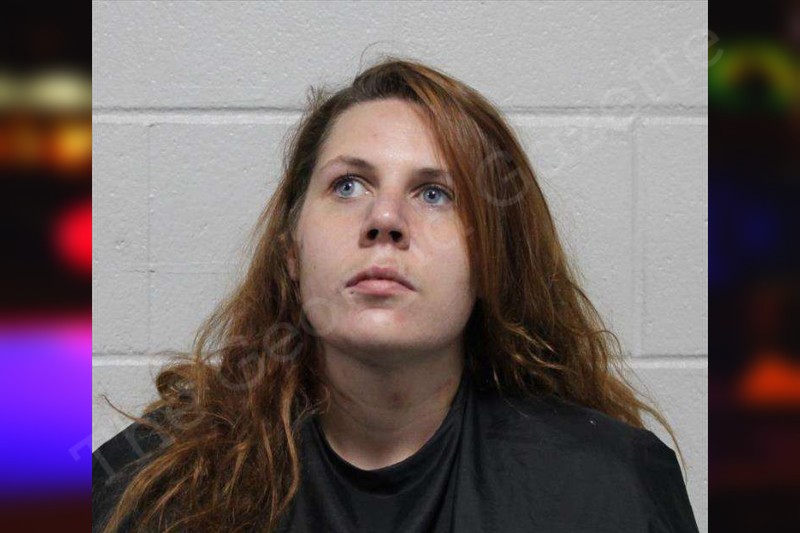 Brittany Waters Habersham County Jail Bookings Brittany Waters Habersham County Jail Bookings